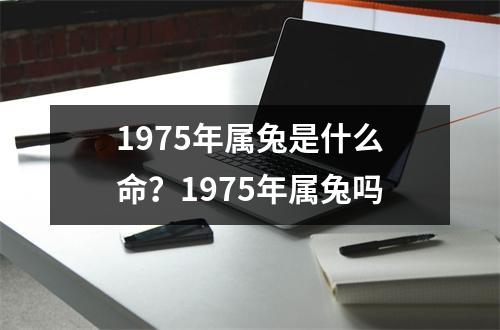 1975年属兔是什么命？1975年属兔吗