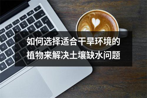如何选择适合干旱环境的植物来解决土壤缺水问题