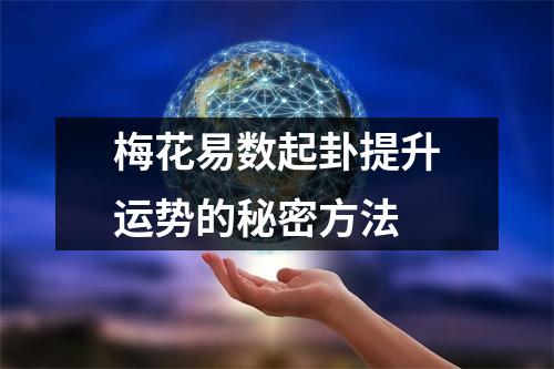 梅花易数起卦提升运势的秘密方法