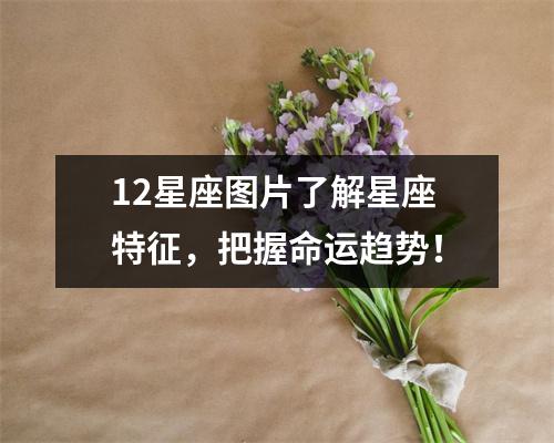 12星座图片了解星座特征，把握命运趋势！