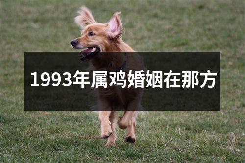 1993年属鸡婚姻在那方