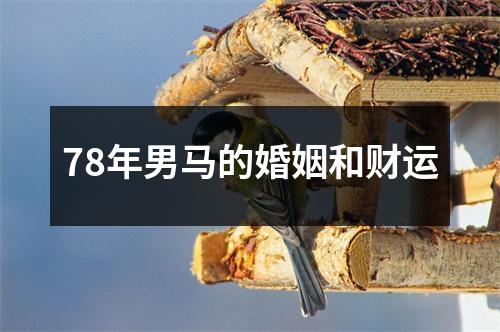 78年男马的婚姻和财运