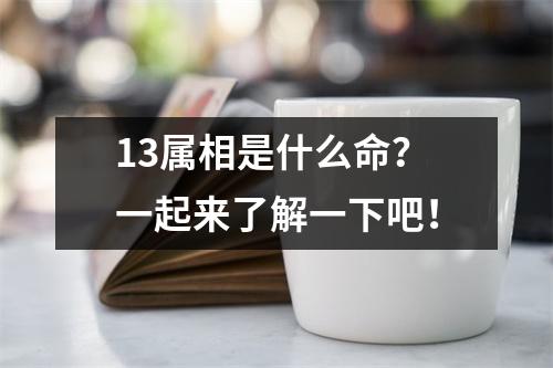 13属相是什么命？一起来了解一下吧！
