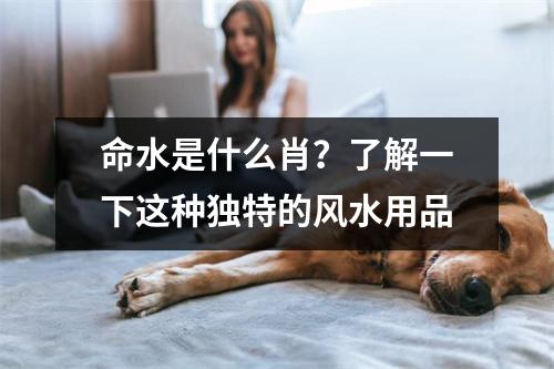 命水是什么肖？了解一下这种独特的风水用品