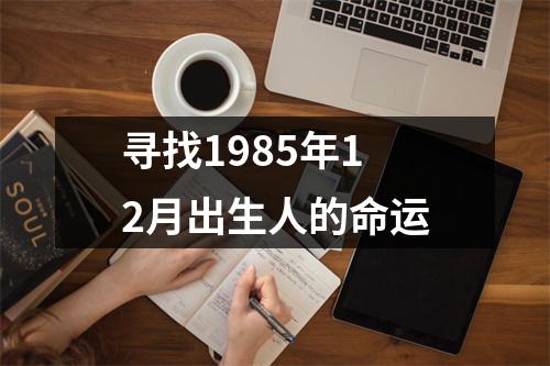 寻找1985年12月出生人的命运