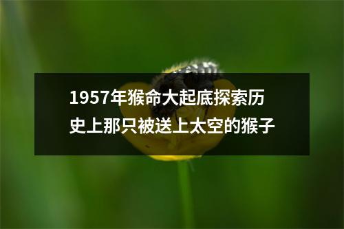 1957年猴命大起底探索历史上那只被送上太空的猴子