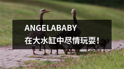 ANGELABABY在大水缸中尽情玩耍！