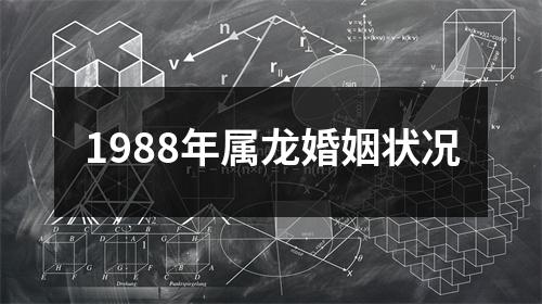 1988年属龙婚姻状况