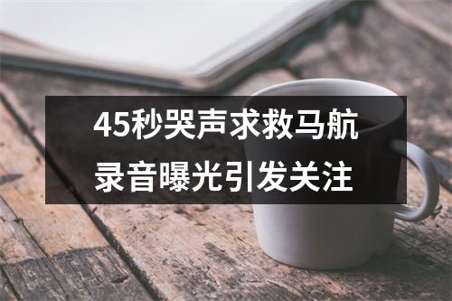 45秒哭声求救马航录音曝光引发关注