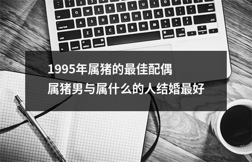 1995年属猪的最佳配偶 属猪男与属什么的人结婚最好