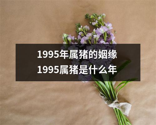 1995年属猪的姻缘 1995属猪是什么年