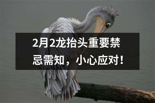 2月2龙抬头重要禁忌需知，小心应对！