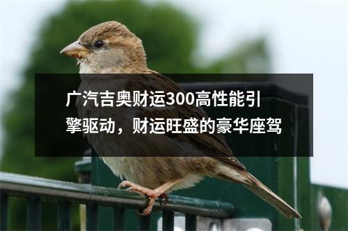 广汽吉奥财运300高性能引擎驱动，财运旺盛的豪华座驾