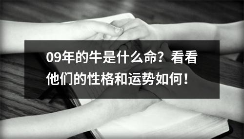 09年的牛是什么命？看看他们的性格和运势如何！