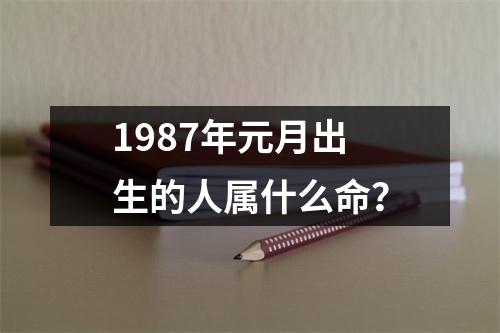 1987年元月出生的人属什么命？