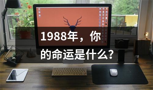 1988年，你的命运是什么？