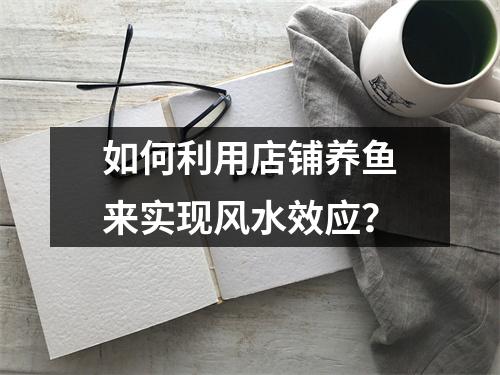 如何利用店铺养鱼来实现风水效应？