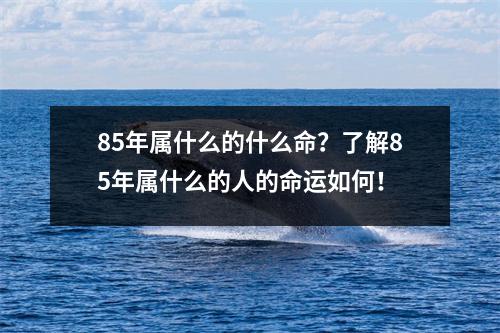 85年属什么的什么命？了解85年属什么的人的命运如何！