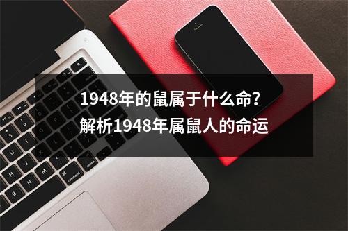1948年的鼠属于什么命？解析1948年属鼠人的命运