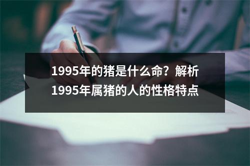 1995年的猪是什么命？解析1995年属猪的人的性格特点