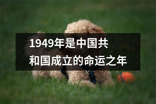 1949年是中国共和国成立的命运之年