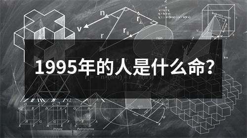 1995年的人是什么命？