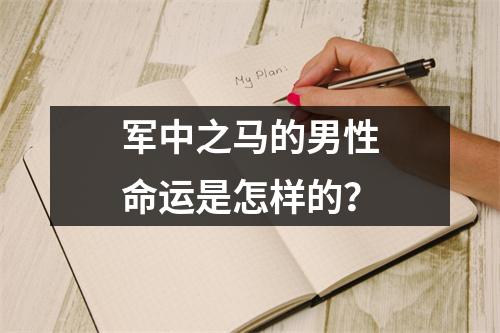 军中之马的男性命运是怎样的？