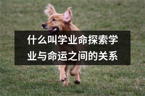 什么叫学业命探索学业与命运之间的关系