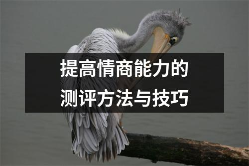提高情商能力的测评方法与技巧