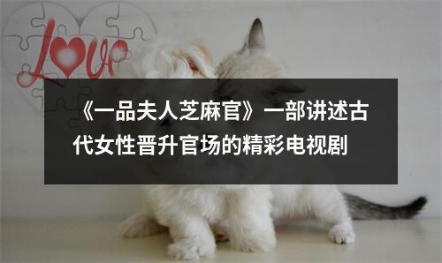 《一品夫人芝麻官》一部讲述古代女性晋升官场的精彩电视剧