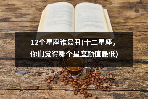 12个星座谁最丑