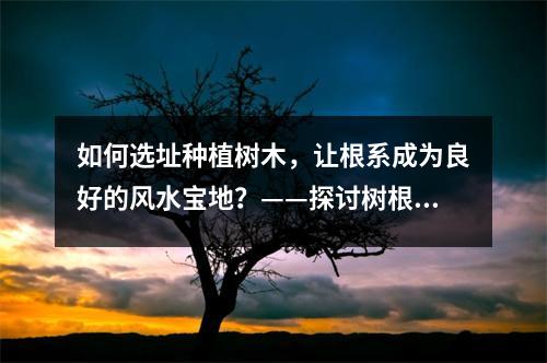 如何选址种植树木，让根系成为良好的风水宝地？——探讨树根的风水学说