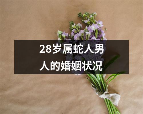 28岁属蛇人男人的婚姻状况