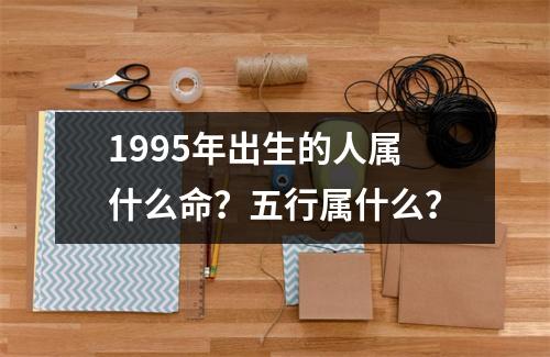 1995年出生的人属什么命？五行属什么？