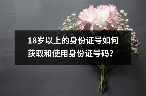 18岁以上的身份证号如何获取和使用身份证号码？