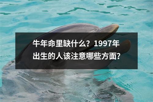 牛年命里缺什么？1997年出生的人该注意哪些方面？