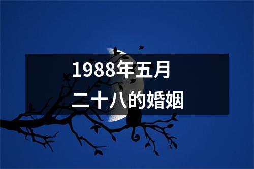 1988年五月二十八的婚姻