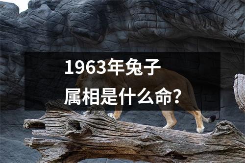1963年兔子属相是什么命？