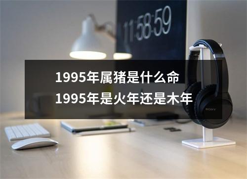 1995年属猪是什么命 1995年是火年还是木年