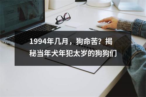 1994年几月，狗命苦？揭秘当年犬年犯太岁的狗狗们