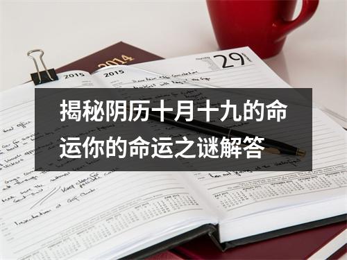 揭秘阴历十月十九的命运你的命运之谜解答