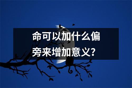 命可以加什么偏旁来增加意义？
