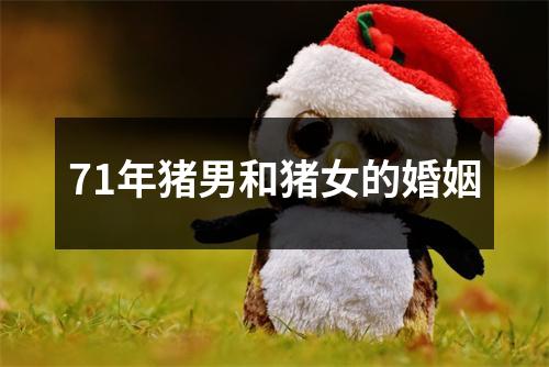 71年猪男和猪女的婚姻