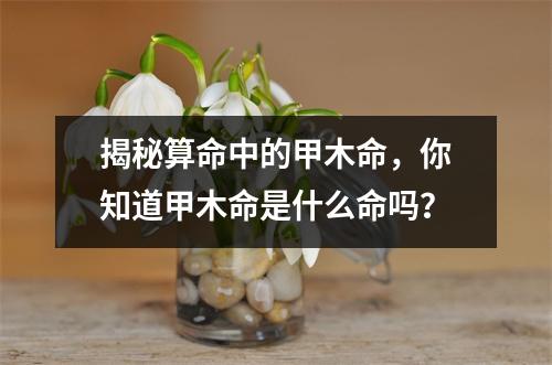 揭秘算命中的甲木命，你知道甲木命是什么命吗？