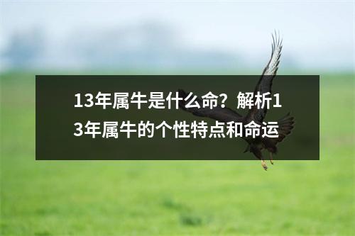 13年属牛是什么命？解析13年属牛的个性特点和命运