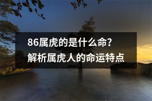 86属虎的是什么命？解析属虎人的命运特点