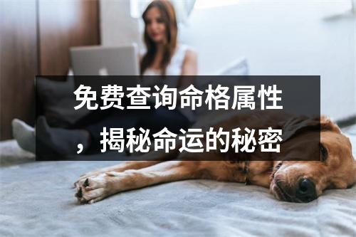 免费查询命格属性，揭秘命运的秘密