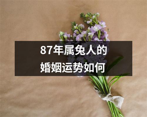 87年属兔人的婚姻运势如何