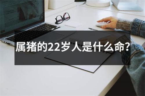 属猪的22岁人是什么命？