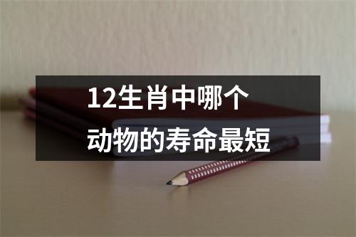 12生肖中哪个动物的寿命最短